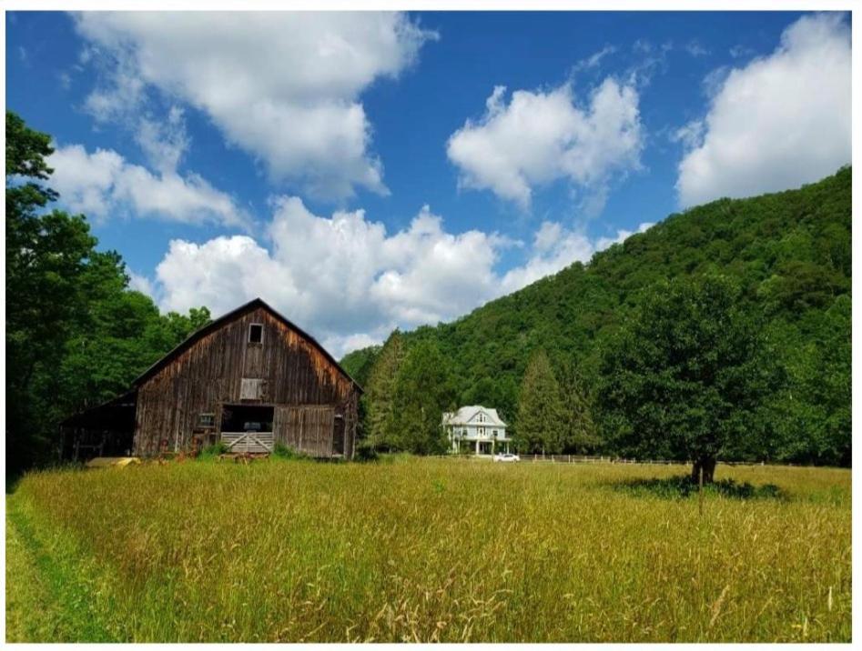 Laurel River Club Bed & Breakfast Or Lrcbnb Dryfork 외부 사진